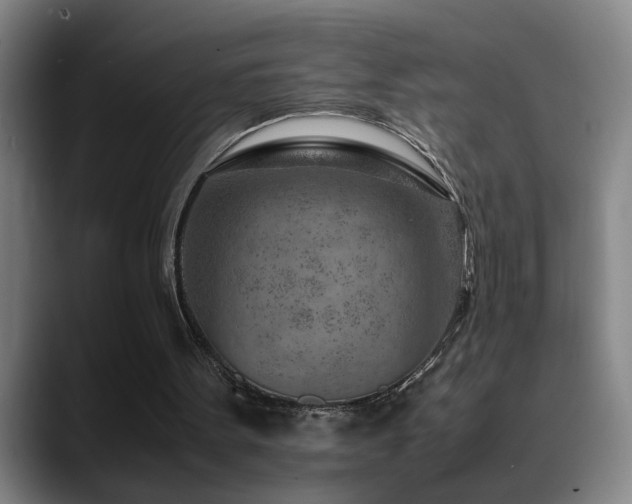 X0000089430099200706151316