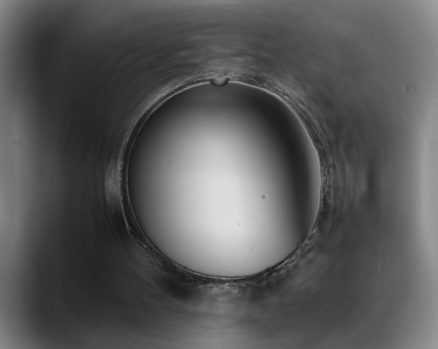X0000089430100200706151316