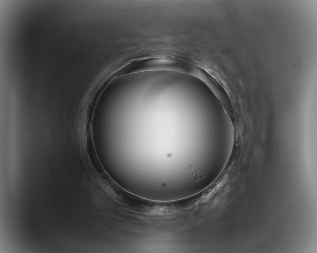 X0000089430101200706151316