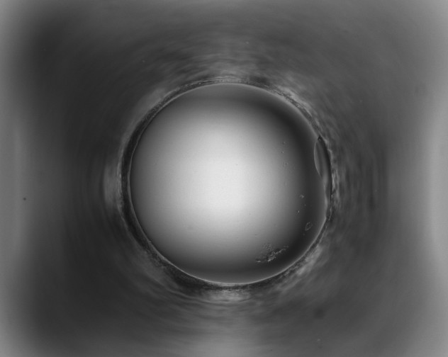 X0000089430102200706151316