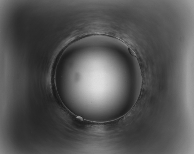 X0000089430104200706151316
