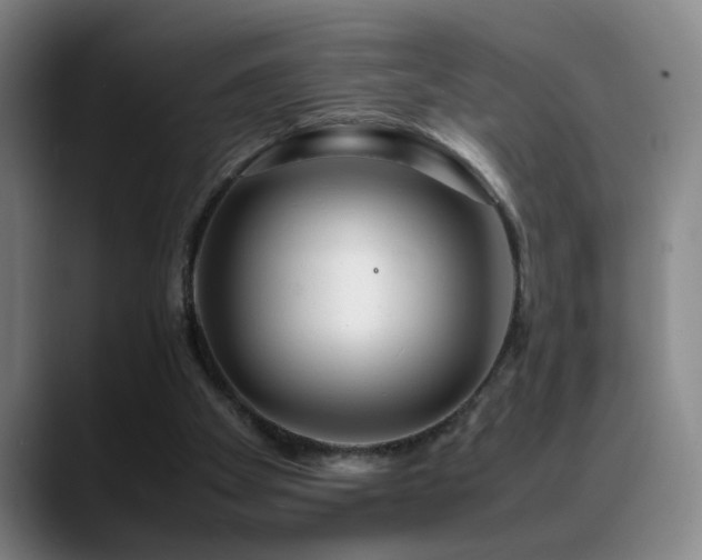 X0000089430105200706151316