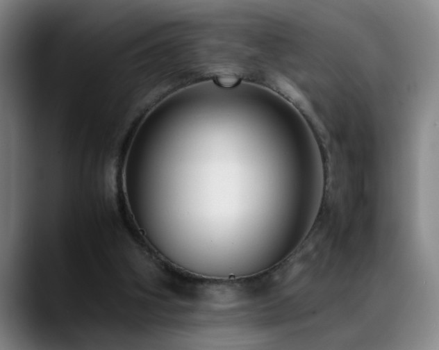 X0000089430106200706151316