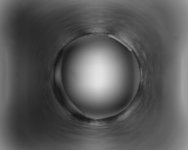 X0000089430109200706151316