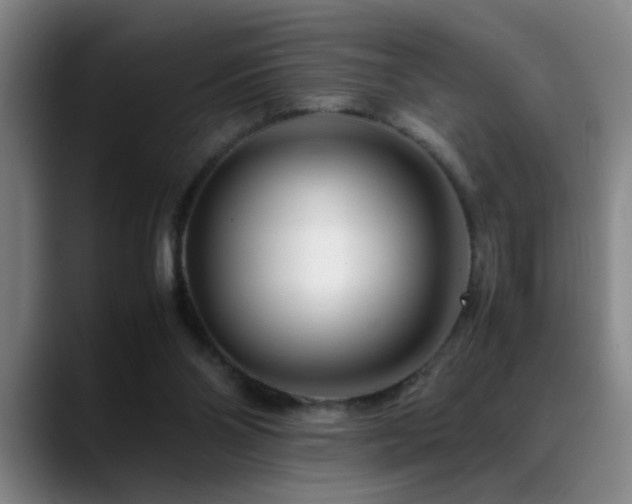 X0000089430110200706151316