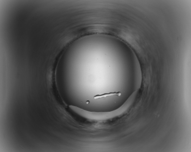 X0000089430111200706151316