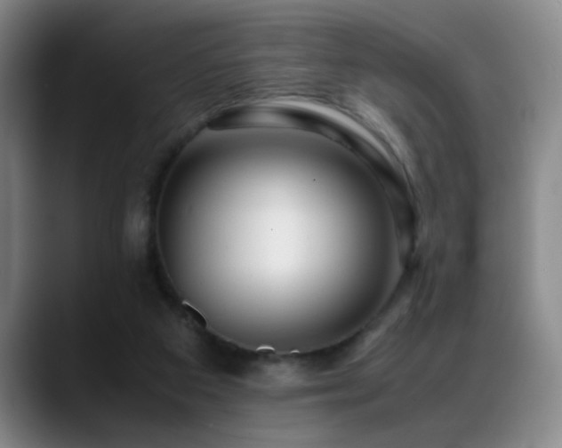 X0000089430113200706151316