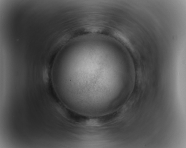 X0000089430114200706151316