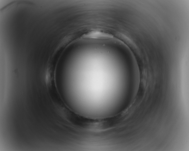 X0000089430116200706151316