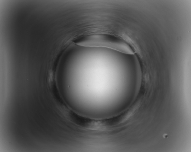 X0000089430117200706151316