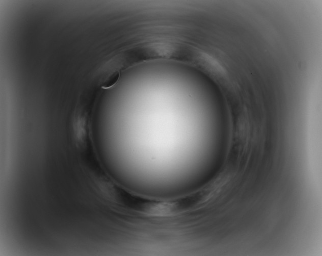 X0000089430122200706151316