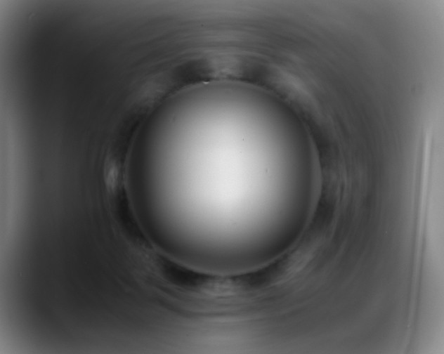 X0000089430123200706151316