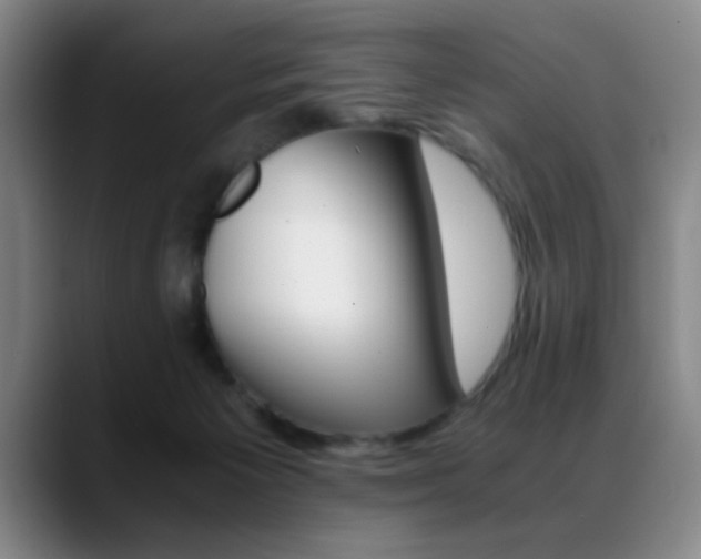 X0000089430125200706151316