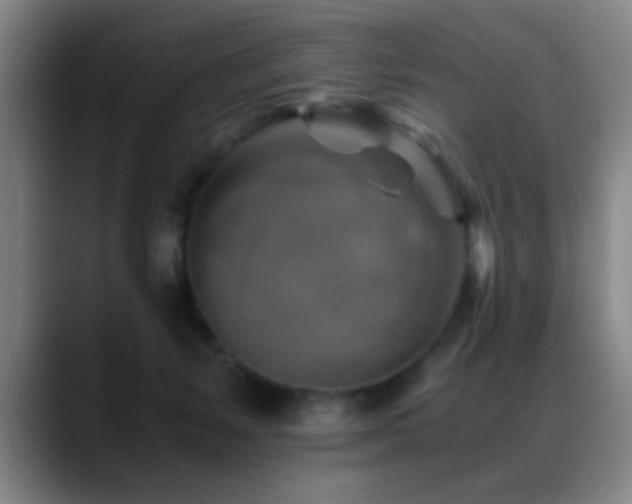 X0000089430127200706151316