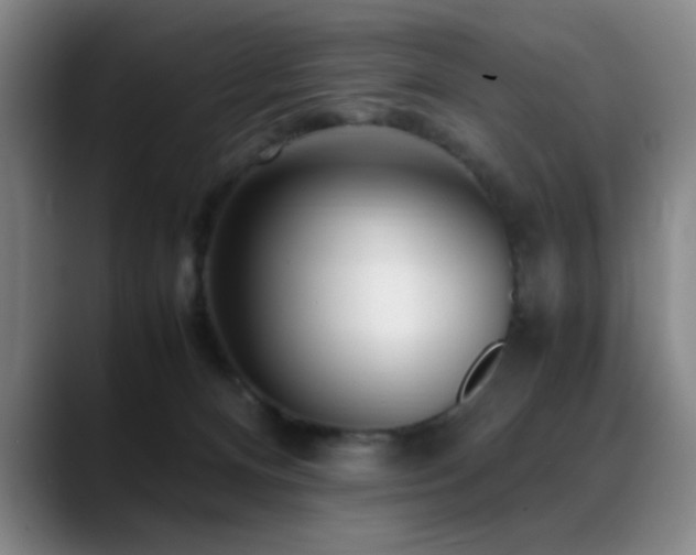 X0000089430128200706151316