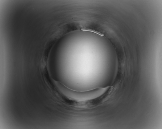 X0000089430129200706151315