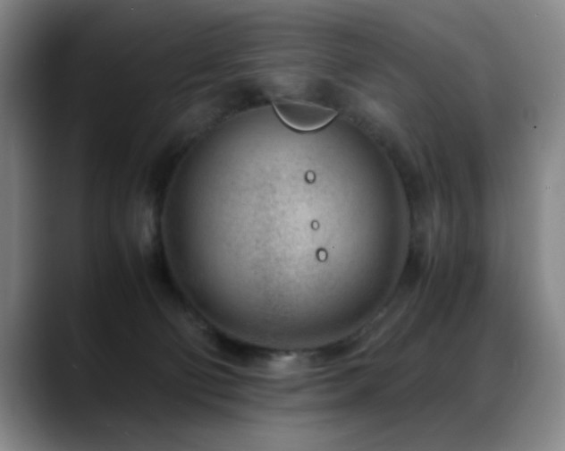 X0000089430130200706151315
