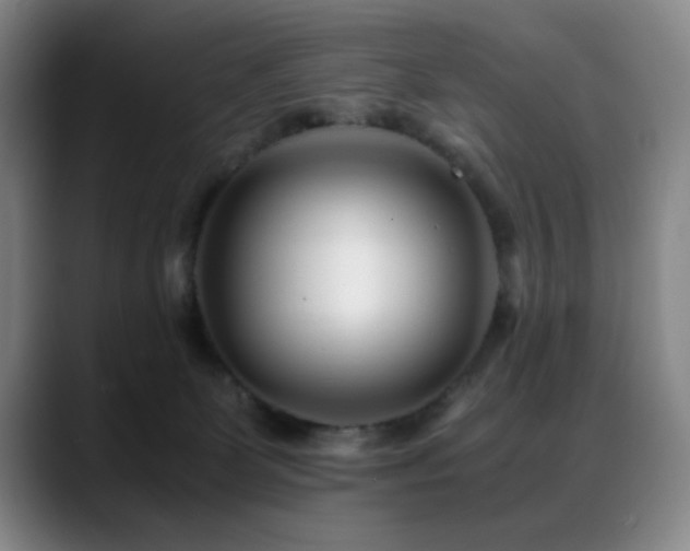 X0000089430131200706151315
