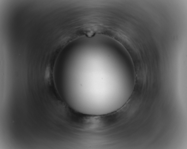X0000089430132200706151315