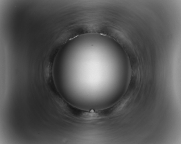 X0000089430133200706151315