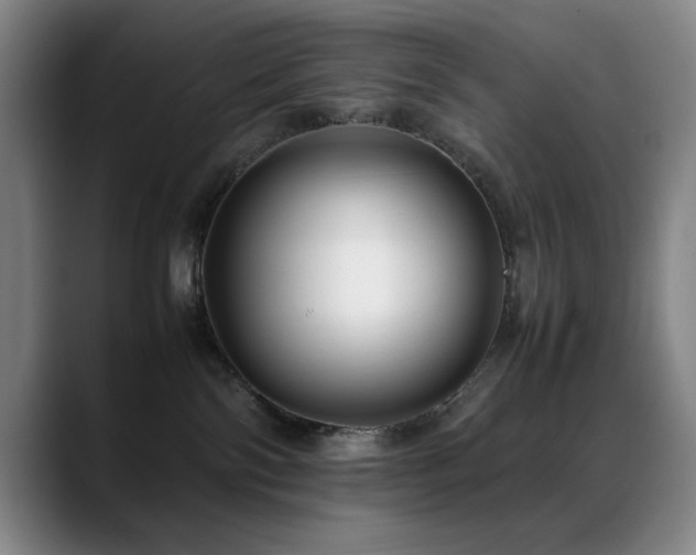 X0000089430138200706151315