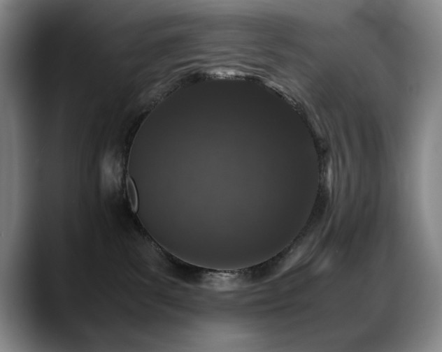 X0000089430139200706151315