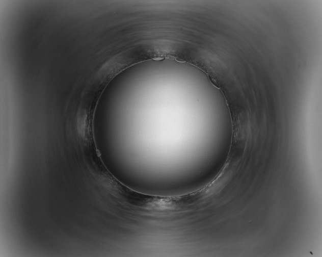 X0000089430140200706151315
