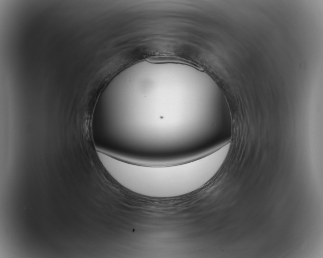 X0000089430141200706151315