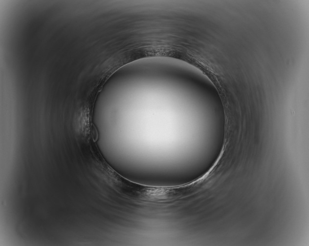 X0000089430144200706151315
