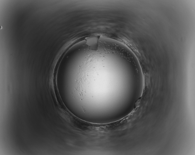 X0000089430147200706151315