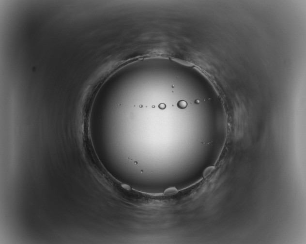 X0000089430149200706151315