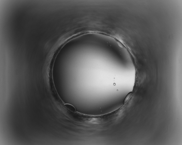 X0000089430151200706151315
