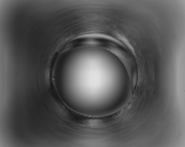X0000089430154200706151315