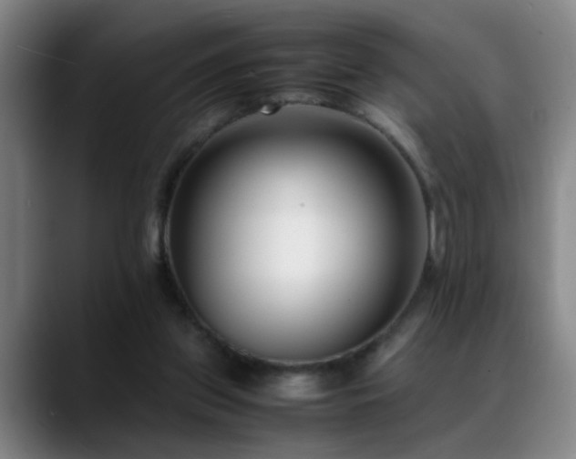 X0000089430157200706151315