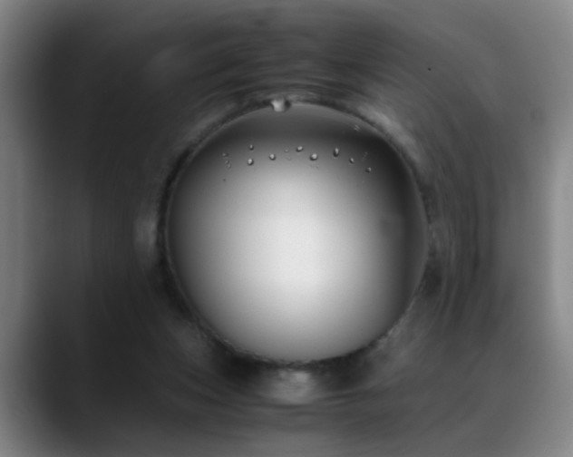 X0000089430159200706151315