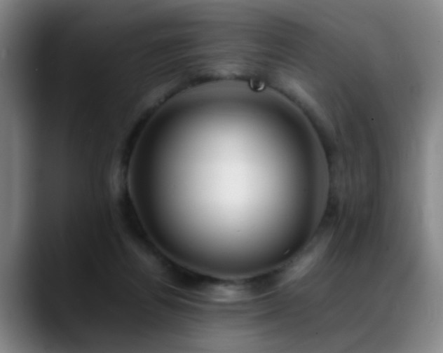 X0000089430164200706151315