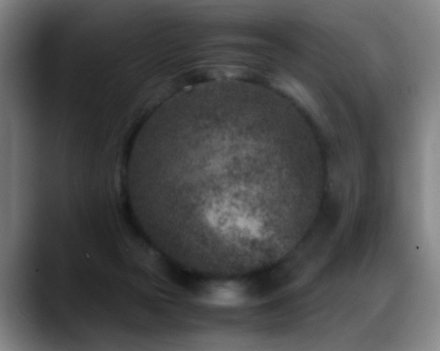 X0000089430169200706151315