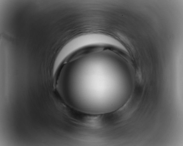 X0000089430170200706151315