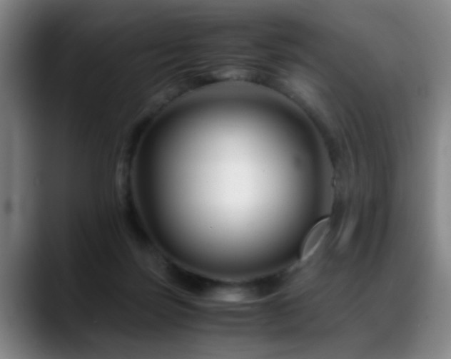 X0000089430171200706151315