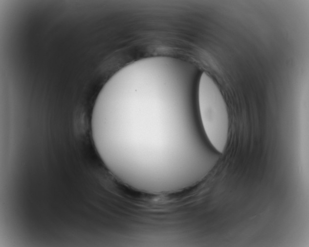 X0000089430173200706151315
