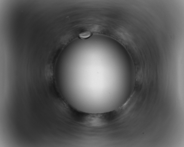 X0000089430179200706151315