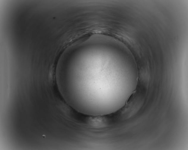X0000089430181200706151315