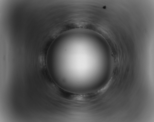 X0000089430182200706151315