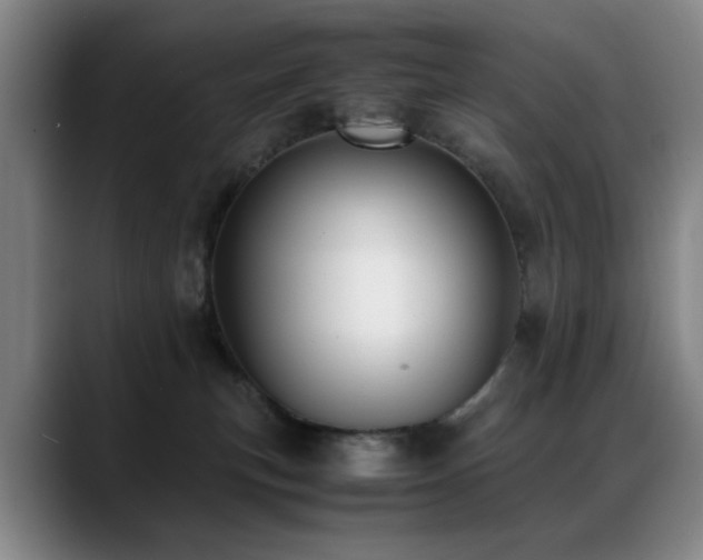 X0000089430183200706151315