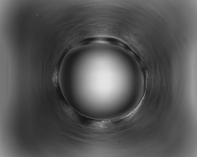 X0000089430190200706151315
