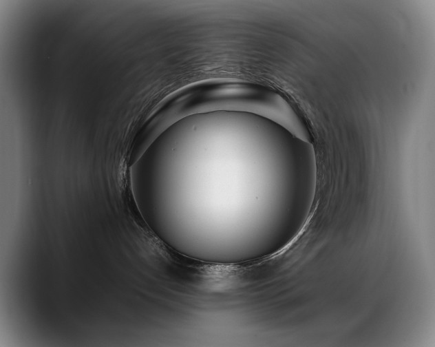 X0000089430192200706151315