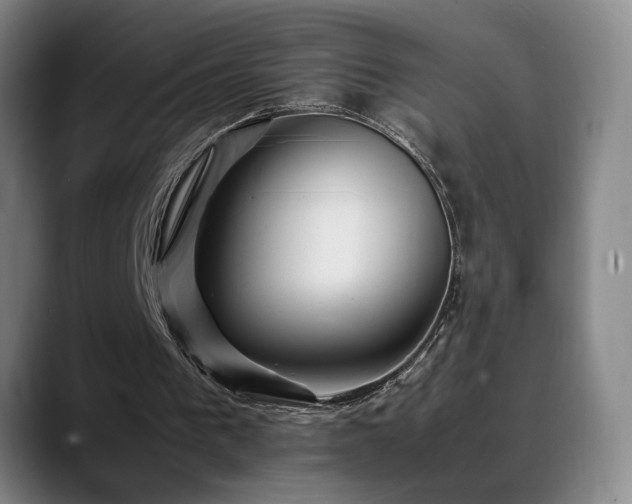 X0000089430193200706151315