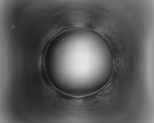 X0000089430194200706151315