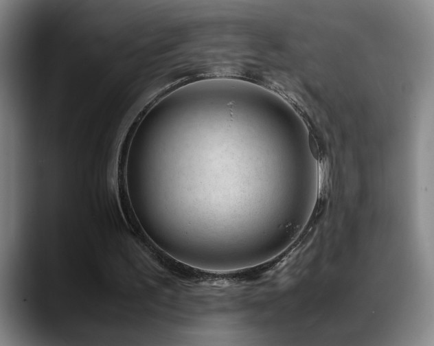 X0000089430195200706151315