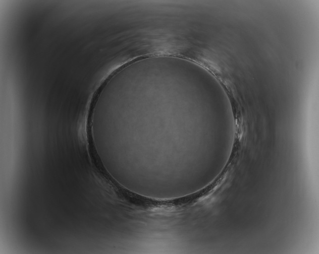 X0000089430196200706151315